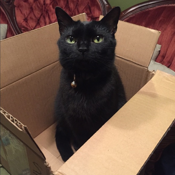 | | S A I N T + H E X | | MAKE AN OFFER & SAVE $$$ - Picture 1 of 8